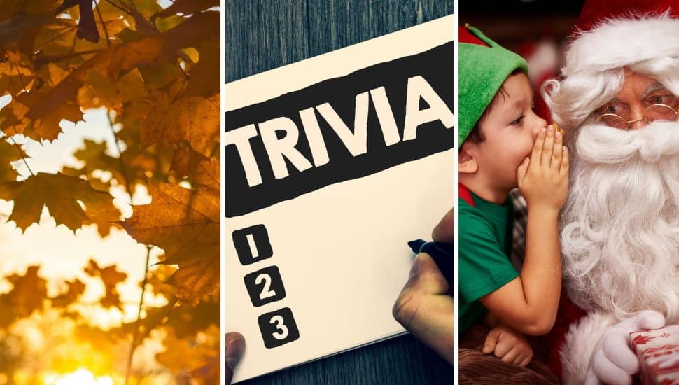Three photos of trees, trivia board and Santa.