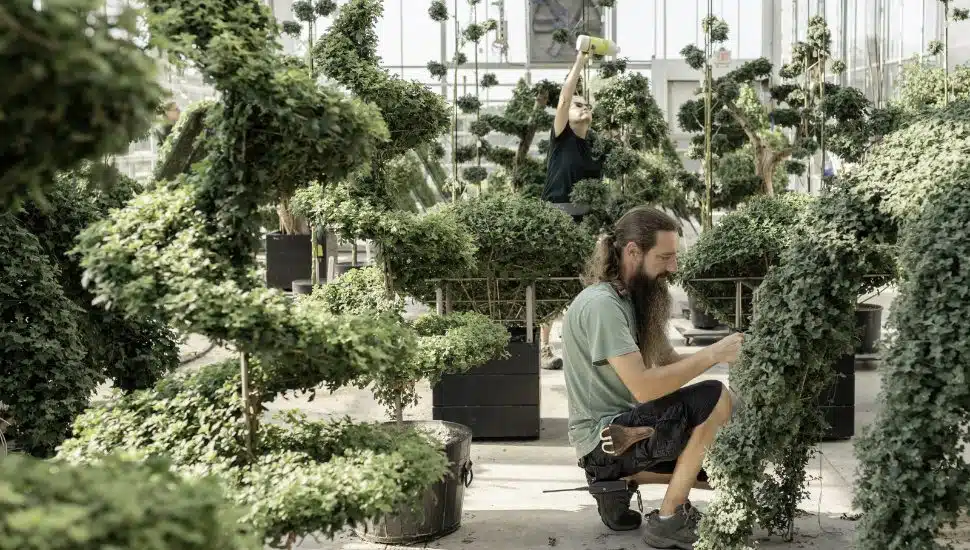 A team member working on an indoor display at Longwood Gardens.