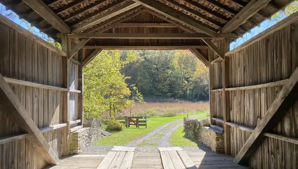 An outdoor view of the Brandywine Conservancy's Laurel Preserve.