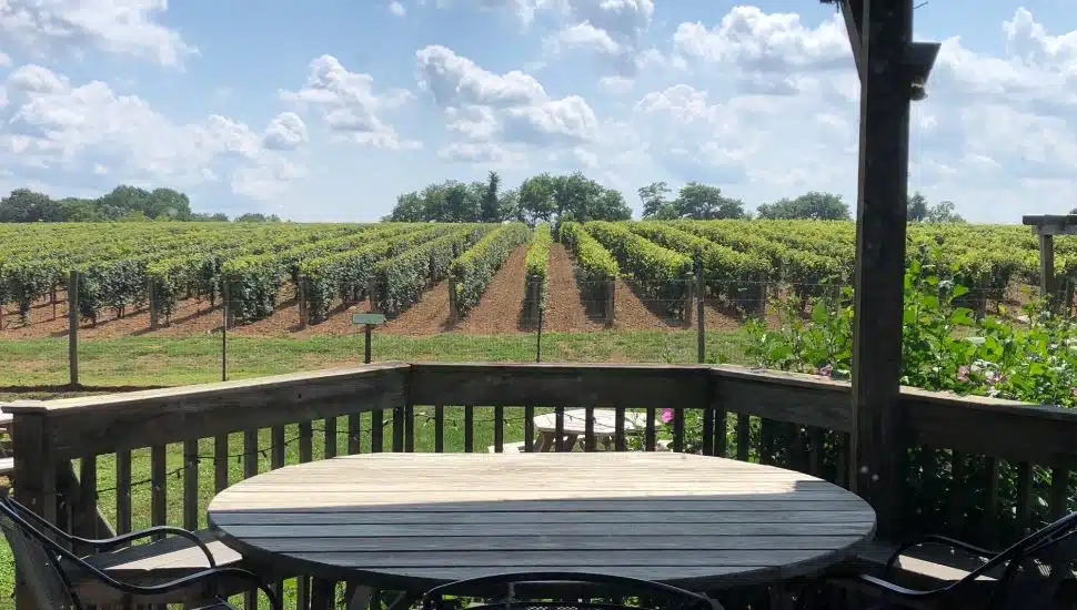 An outdoor patio table and scenic vineyards at Va La Vineyards.