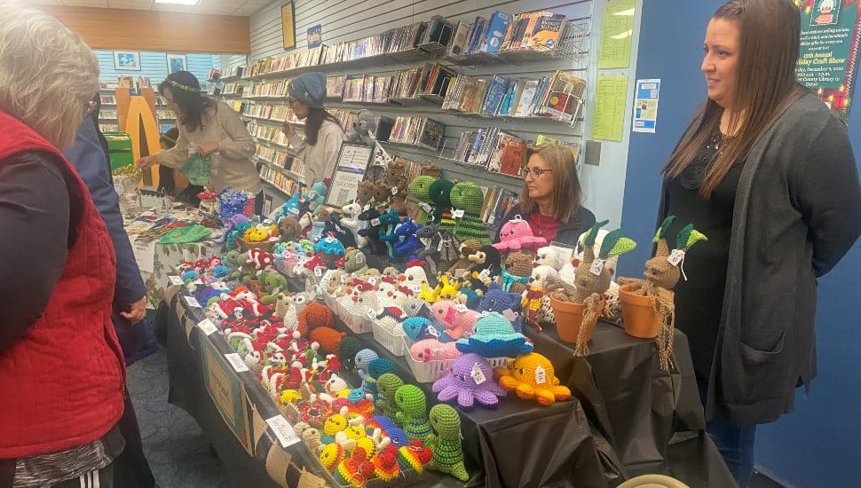 A vendor table at the Chester County Library Holiday Craft Show displays rows of colorful handmade crocheted animals while shoppers browse in the library’s media section.
