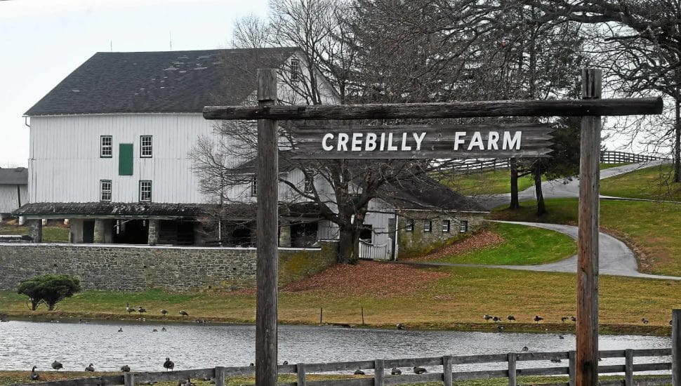Barn exteriors and surrounding farmland at Westtown's Crebilly Farm.