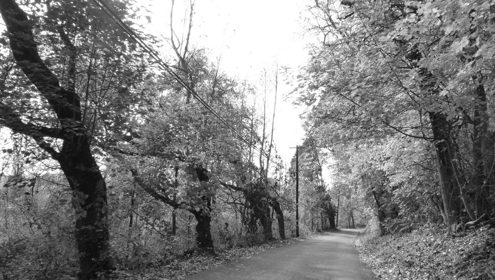 A black and white photo of Chester County's Devil's Road.