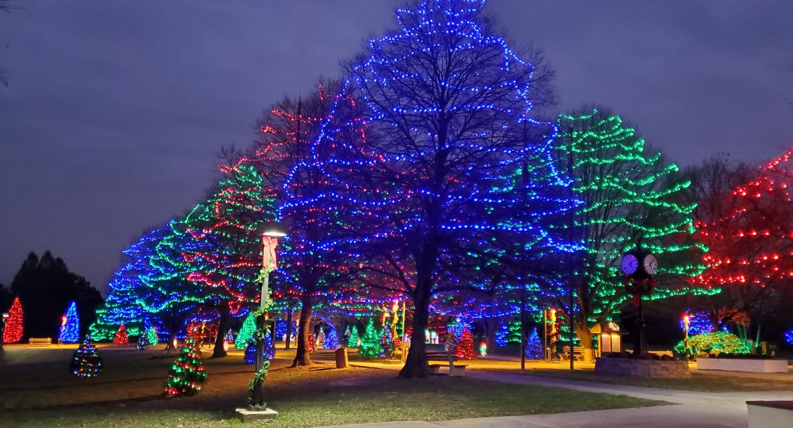 Lights decorating trees.