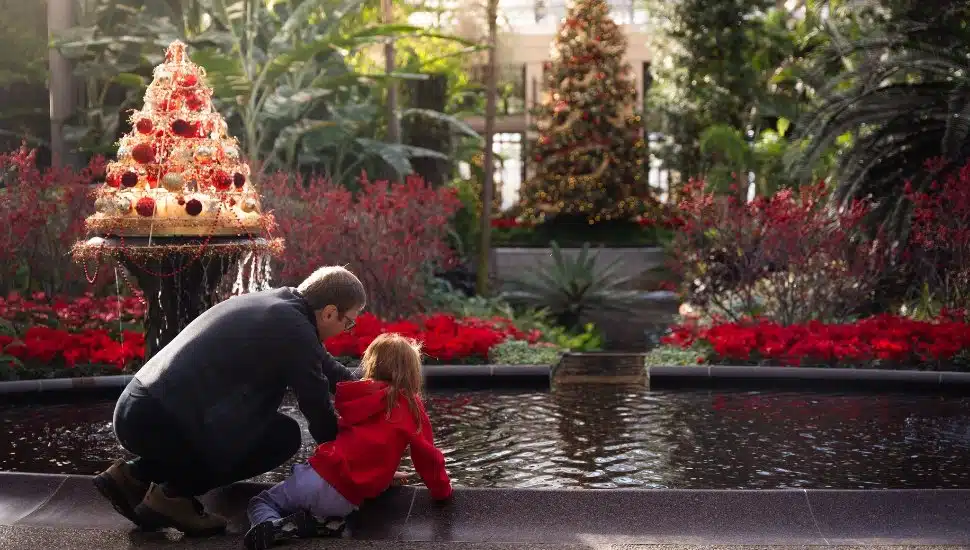 Father and daughter admire trees and water at Longwood Gardens.