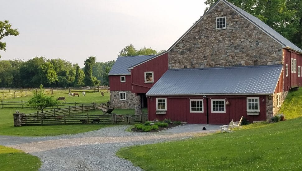 The exterior and surrounding farm animals at The Barn at Spring Brook Farm.