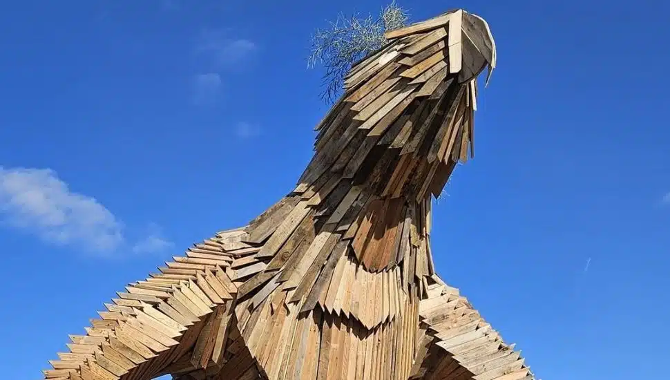 Wooden bird in the daytime.
