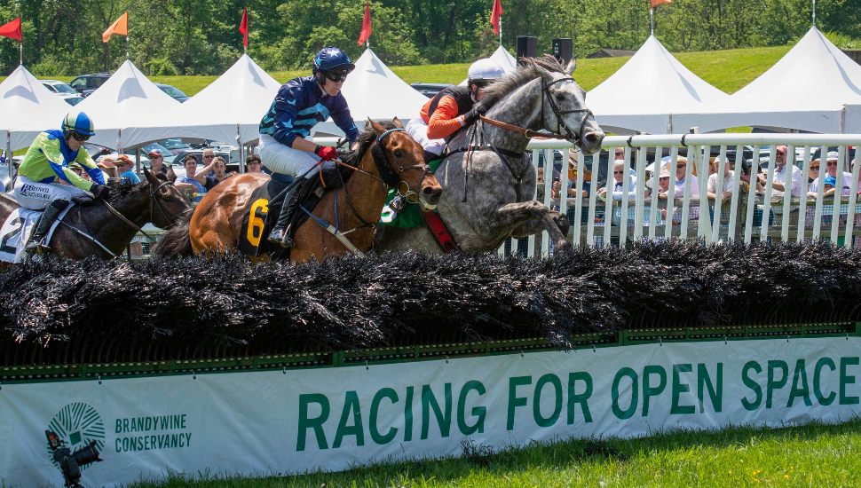 Horses and riders jumping at Radnor Hunt Races.