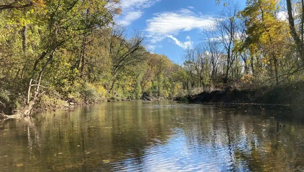 A creek and trees at Natural Lands' ChesLen Preserve.