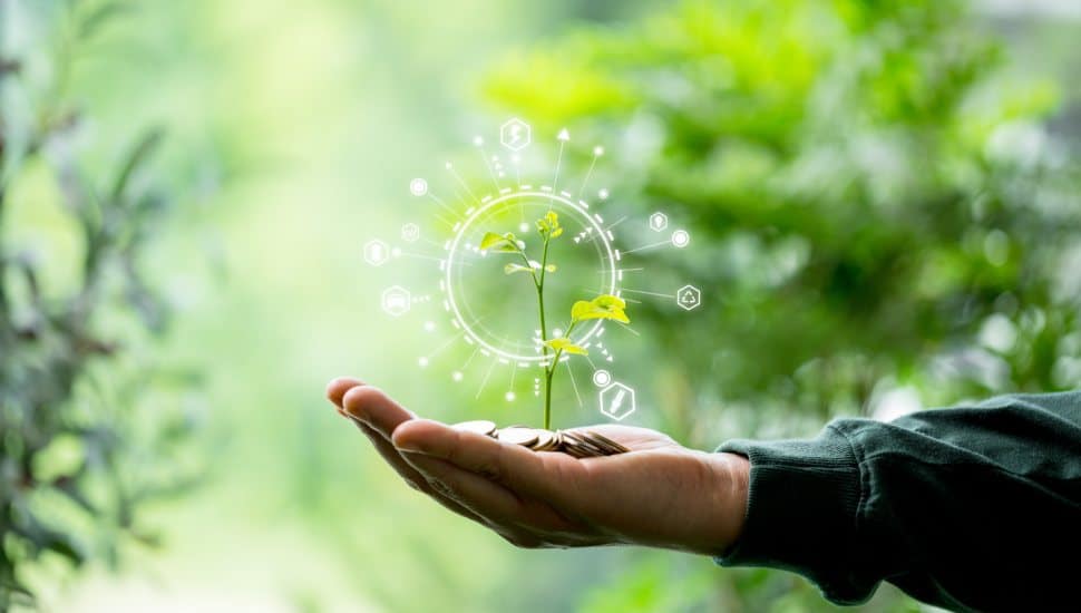 Sustainable investing concept showing a young plant growing from coins in a person’s hand, symbolizing long-term growth and environmental responsibility.