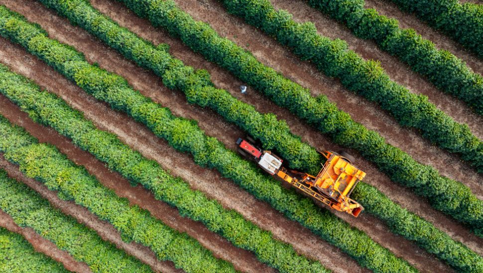Tractor and harvester farming on land.
