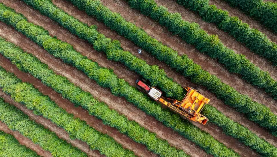 Tractor and harvester farming on land.