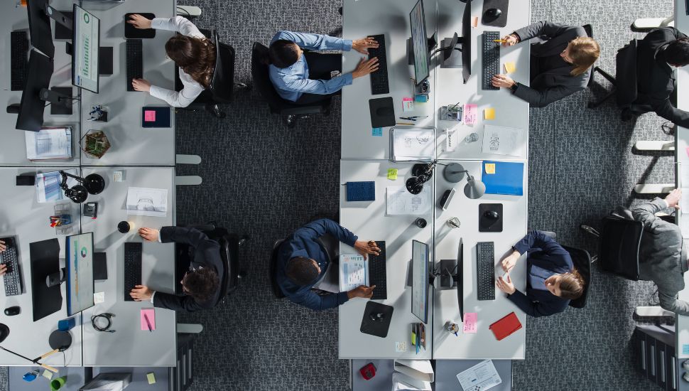 Aerial view of people working side by side in office.