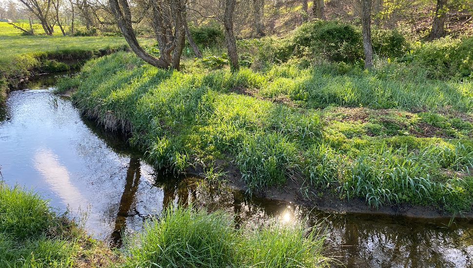 Crebilly Farm lands.