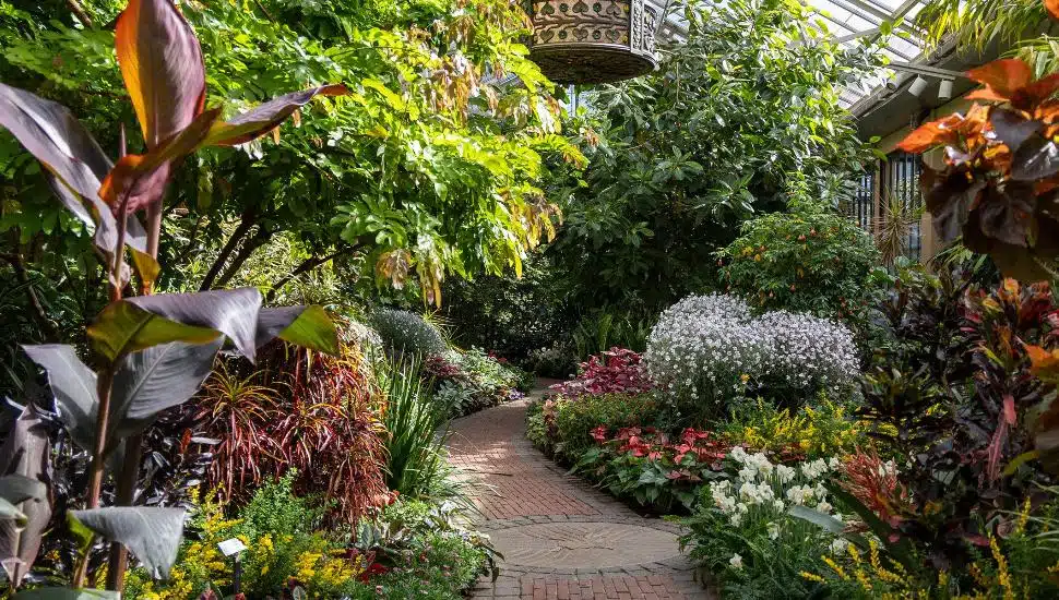 An indoor path and plant display at Longwood Gardens.