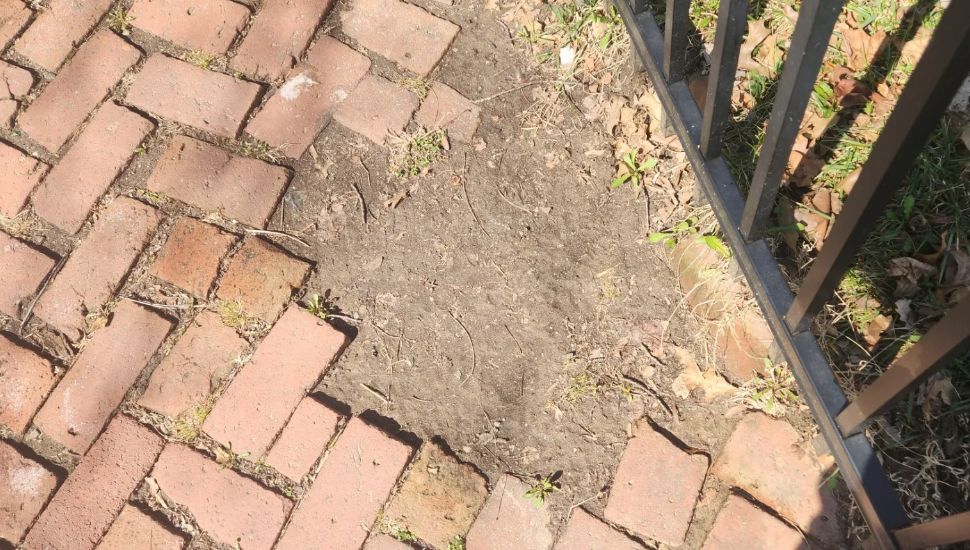 A patch of missing bricks along a West Chester sidewalk.