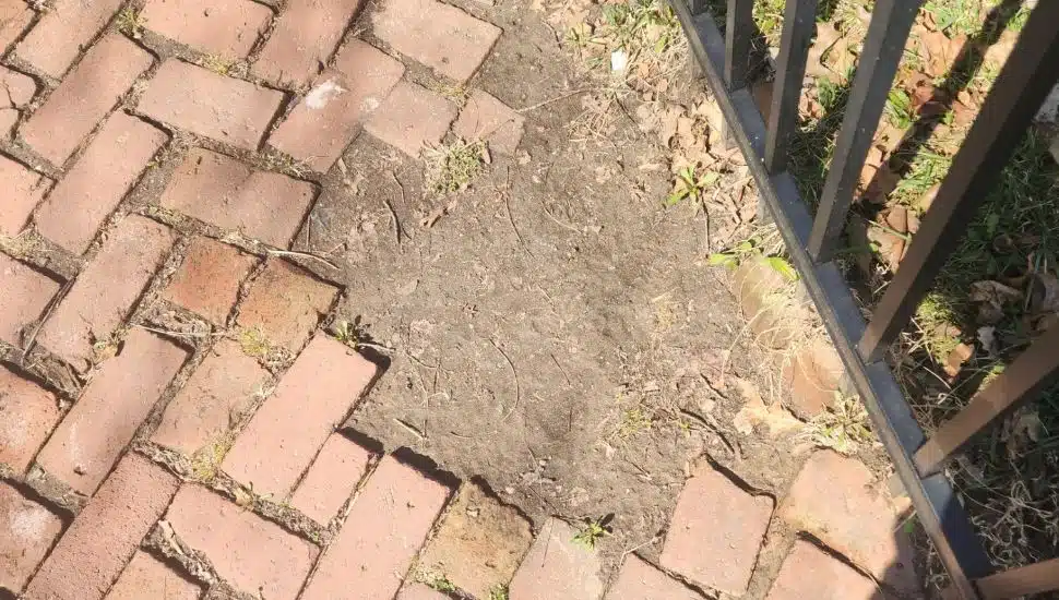 A patch of missing bricks along a West Chester sidewalk.