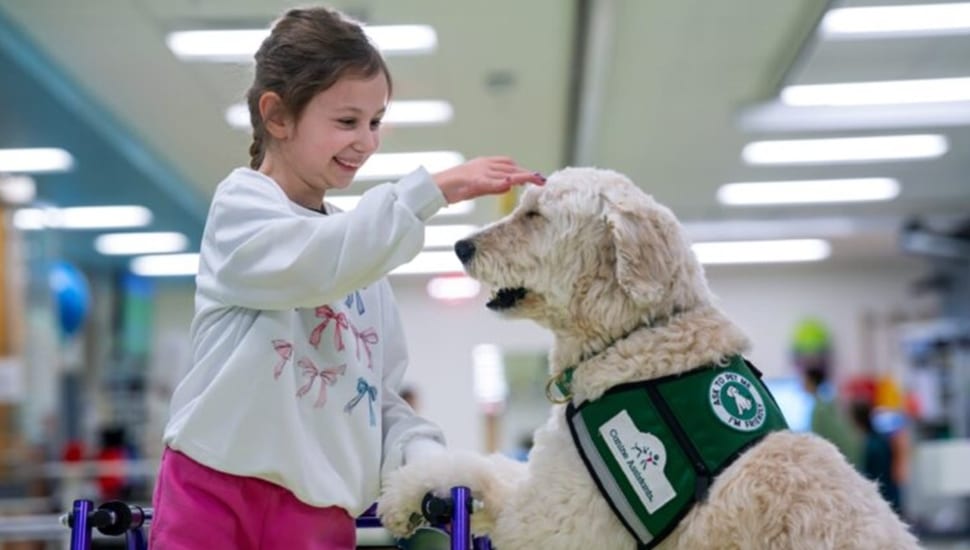 Young girl pets dog at animal-assisted therapy session.