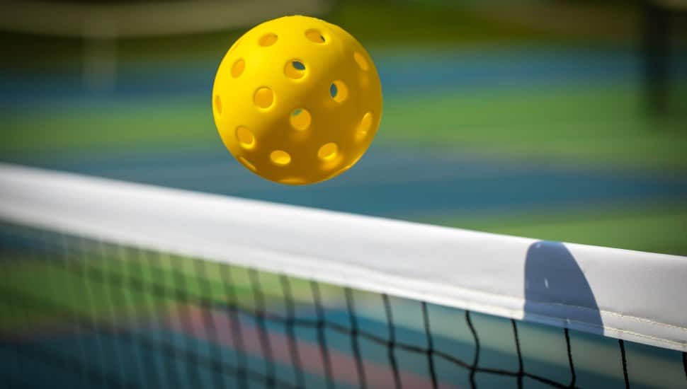 A pickleball bounces over the net.
