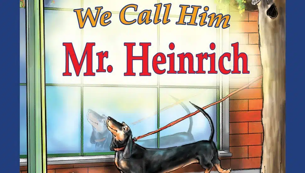 Cover of 'We Call Him Mr. Heinrich'.