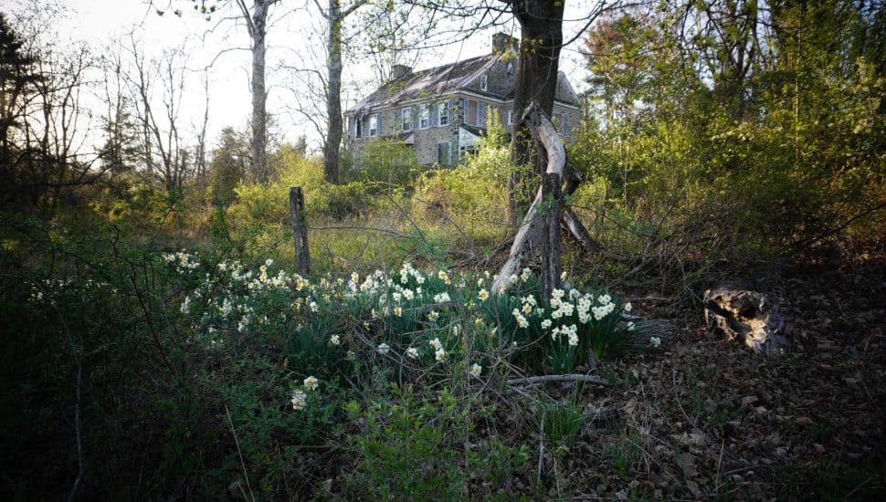 Forsythe Farm property covered in trees and foliage in West Goshen.