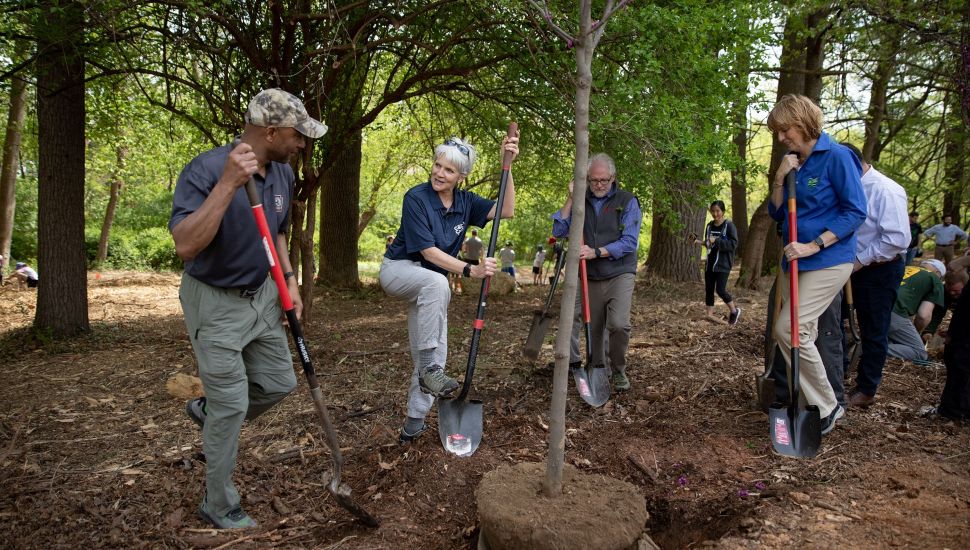 State Senator Carolyn Comitta and community partners participate in a tree-planting activity at the Chester County Earth Day Festival at the Upper Main Line YMCA campus.
