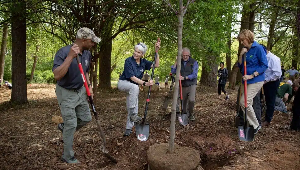 State Senator Carolyn Comitta and community partners participate in a tree-planting activity at the Chester County Earth Day Festival at the Upper Main Line YMCA campus.