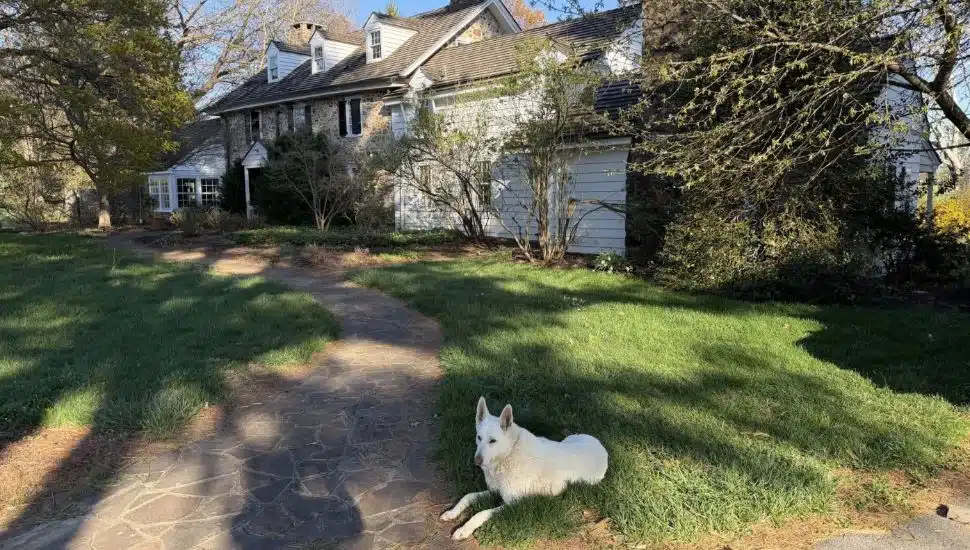 Willistown Man Leads Township Battle to Protect His Centuries-Old Farm