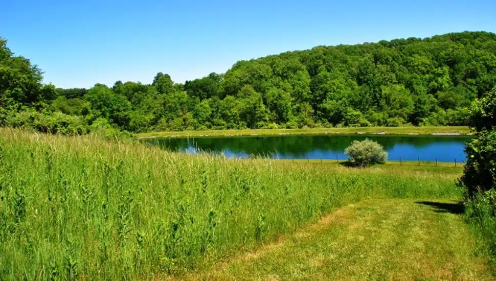A grass trail and body of water at Okehocking Preserve.