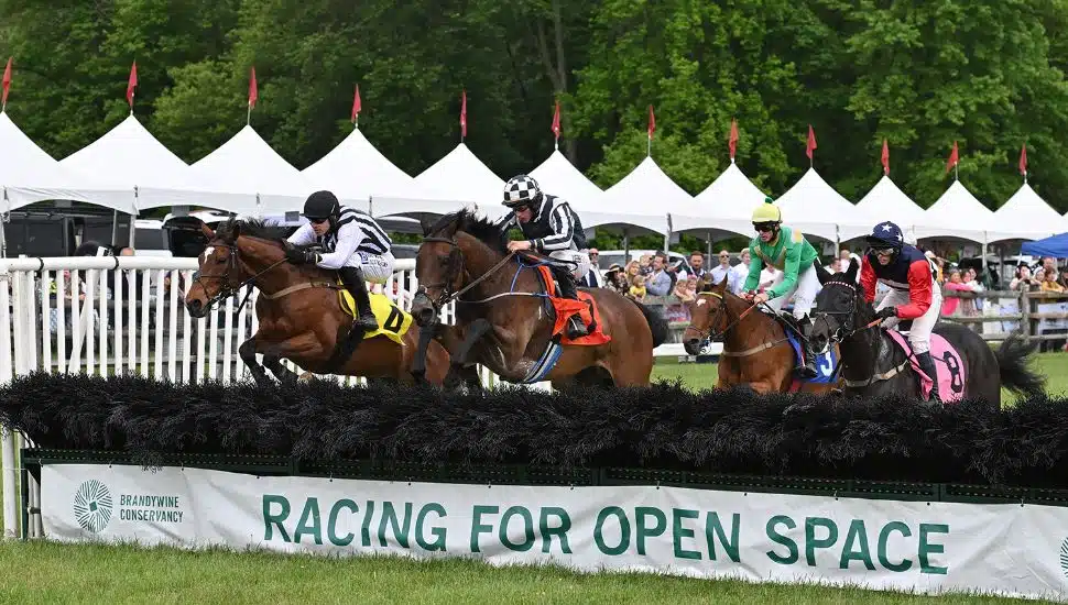 Steeplechase racers at the Radnor Hunt Race.