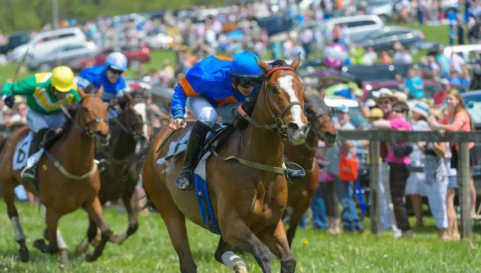 A rider at Kennett Square's Willowdale Steeplechase race.