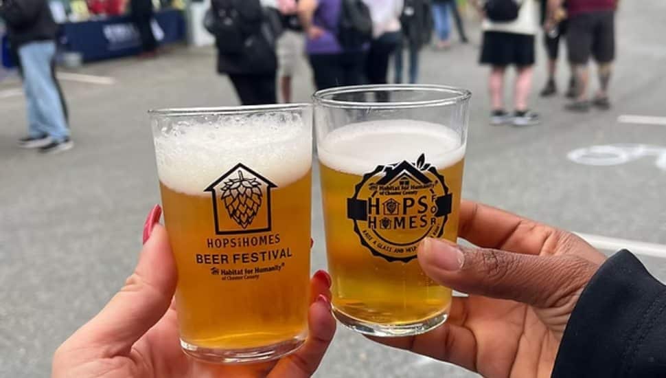 Close up of two beer glasses.