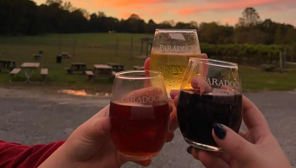 Three people cheering wine glasses at vineyard at sunset.