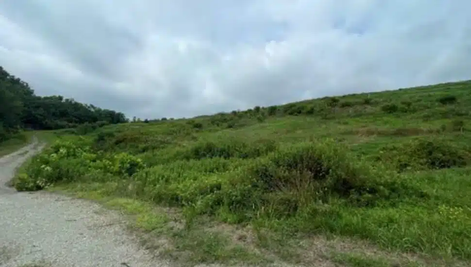 A "cap" of land at the Strasburg landfill site covers contaminated ground.