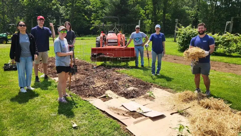 Volunteers outdoors planting trees.