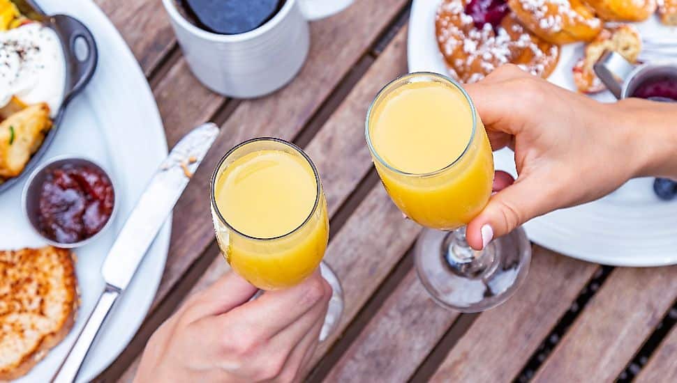 Two guests toasting cocktails at an outdoor brunch spread.