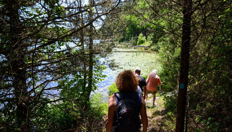 Hikers follow a wooded trail toward the shoreline of Lake Nockamixon on a summer afternoon at Nockamixon State Park in Bucks County.