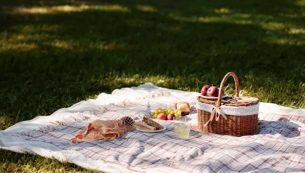 From Wayne to Phoenixville, Chester County's parks and preserves are ready for your next outdoor spread.