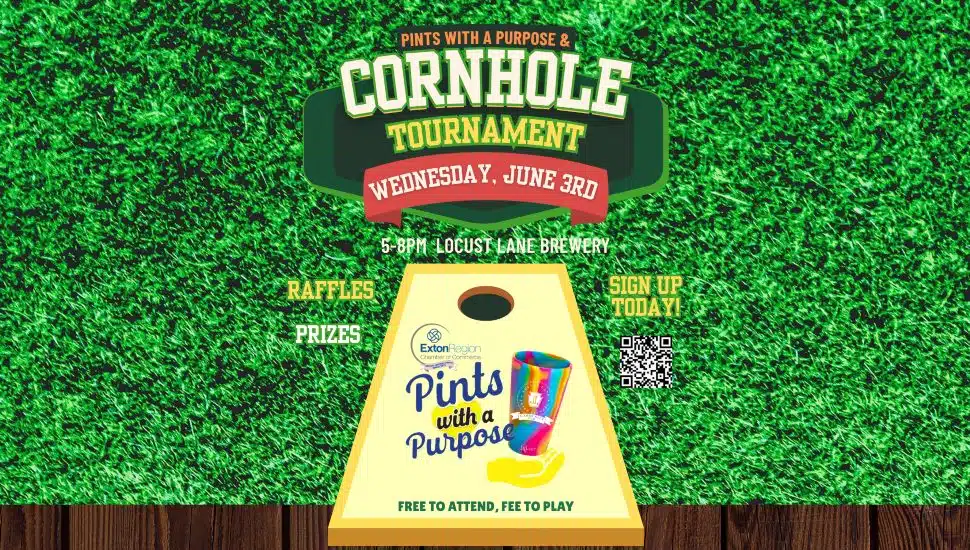 The flyer announcing Safe Harbor of Chester County's Pints With a Purpose & Cornhole Tournament event on June 3.