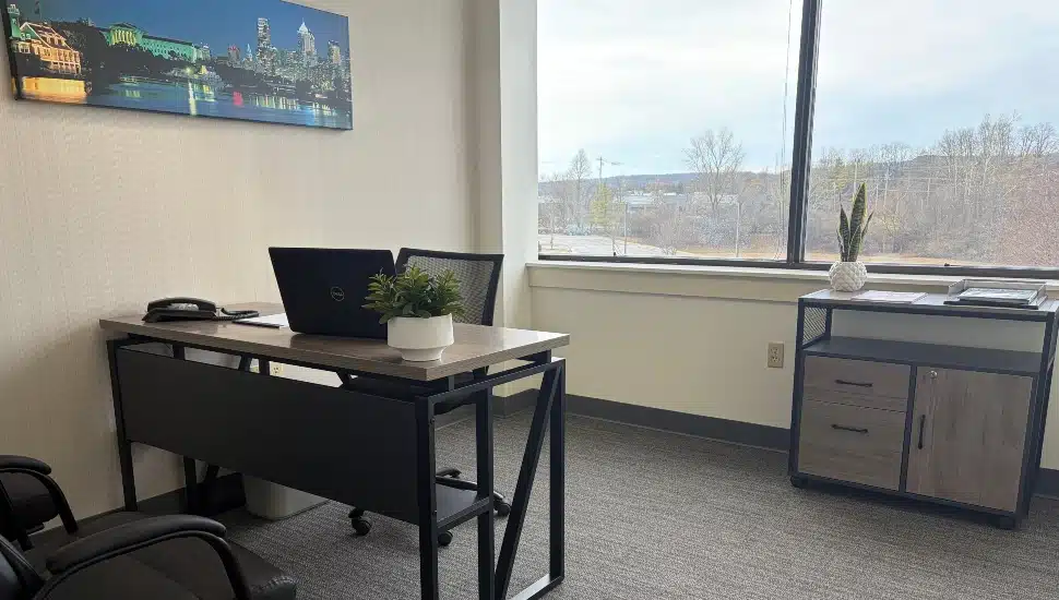 A furnished private office at Executive Office Link featuring a modern desk with a laptop, ergonomic chair, telephone, small plant, and a filing cabinet, with large windows overlooking a natural landscape. A Philadelphia skyline canvas print hangs on the wall.