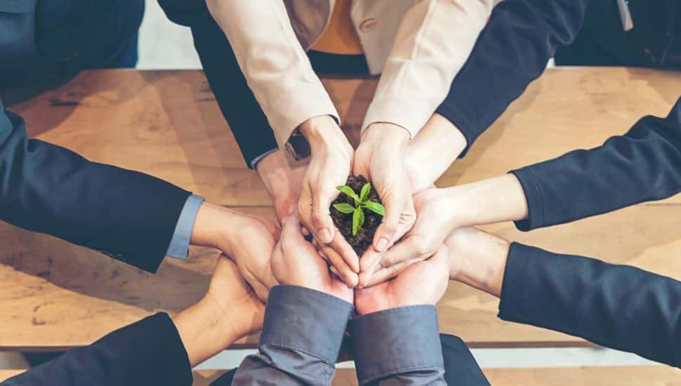 Group of business people holding up seedling growth.