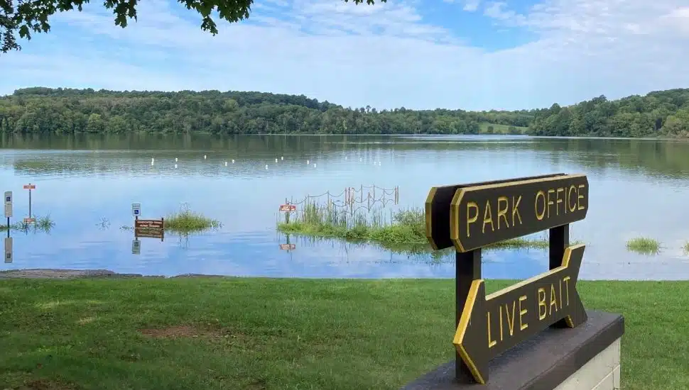 Lake and grass area at Marsh Creek State Park.