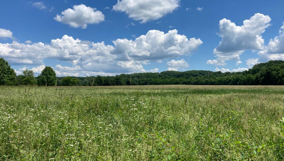 Blue sky with clouds and green meadow of ChesLen Preserve.