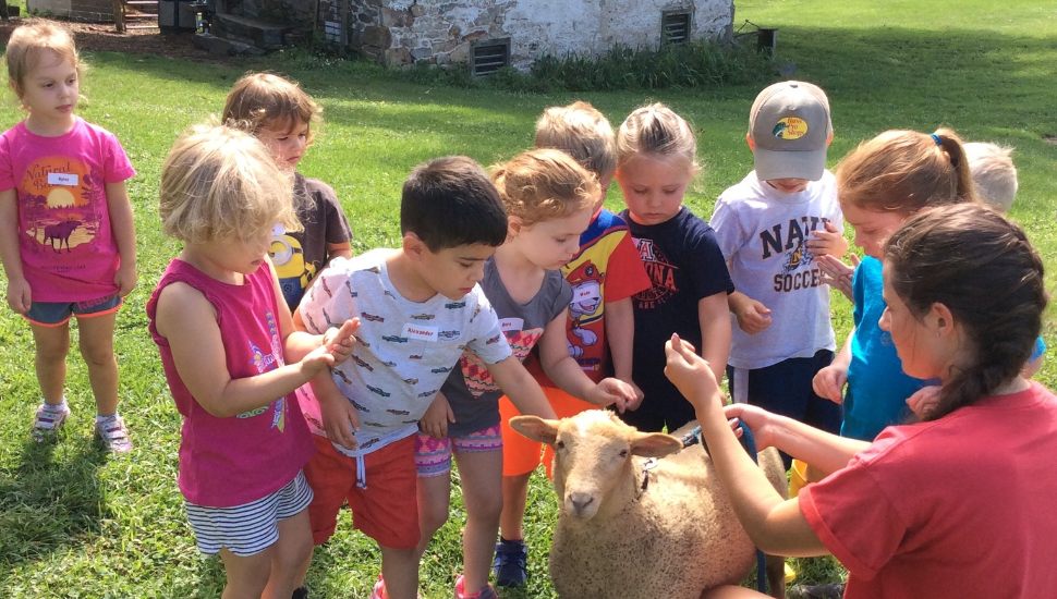 Children pet a goat at Milky Way Farm.