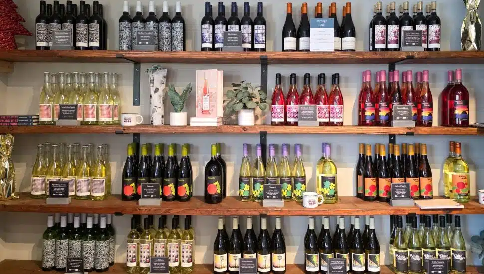 Where to Go Wine Tasting in Chester County This Summer